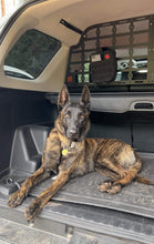 Load image into Gallery viewer, 5TH GEN 2010-2023 4RUNNER DOG/ CARGO BARRIER