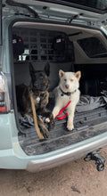 Load image into Gallery viewer, 5TH GEN 2010-2023 4RUNNER DOG/ CARGO BARRIER