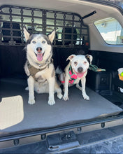Load image into Gallery viewer, 5TH GEN 2010-2023 4RUNNER DOG/ CARGO BARRIER